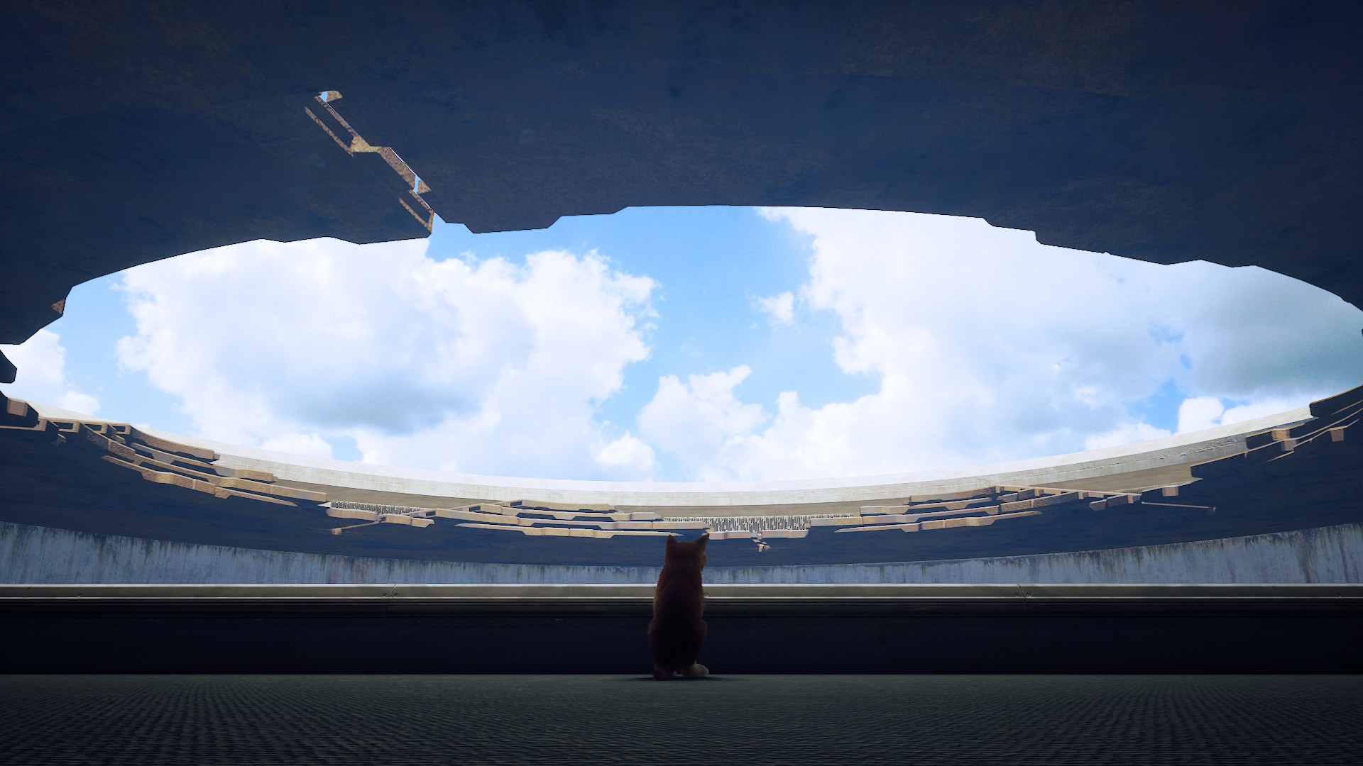 【哲风壁纸】未来派的-流浪-猫.png
